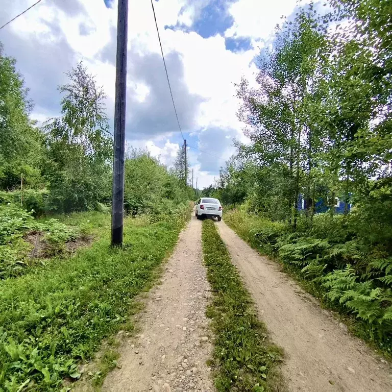 Участок 8,1 сот. (СНТ, ДНП) - Фото 1