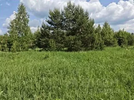 Участок в Московская область, Воскресенск городской округ, д. ... - Фото 1