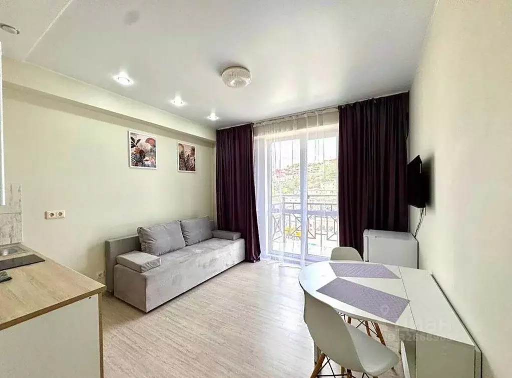 Студия Краснодарский край, Сочи ул. Тимирязева, 34Бк1 (19.6 м) - Фото 1