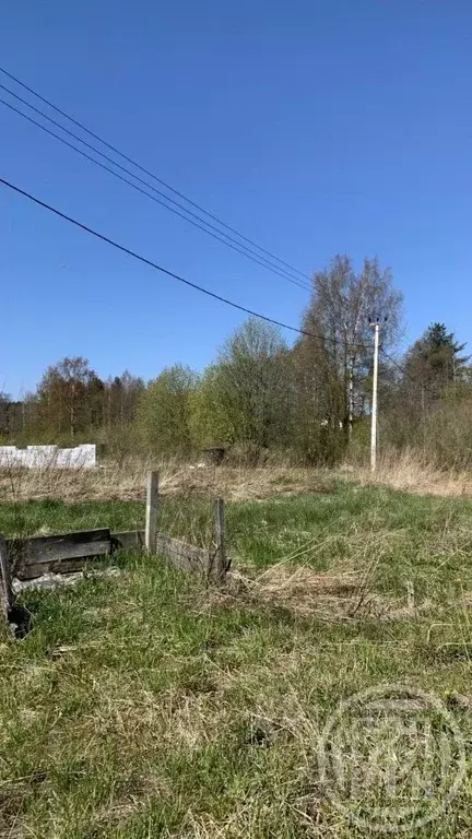 Участок в Ленинградская область, Ломоносовский район, Большая Ижора ... - Фото 1