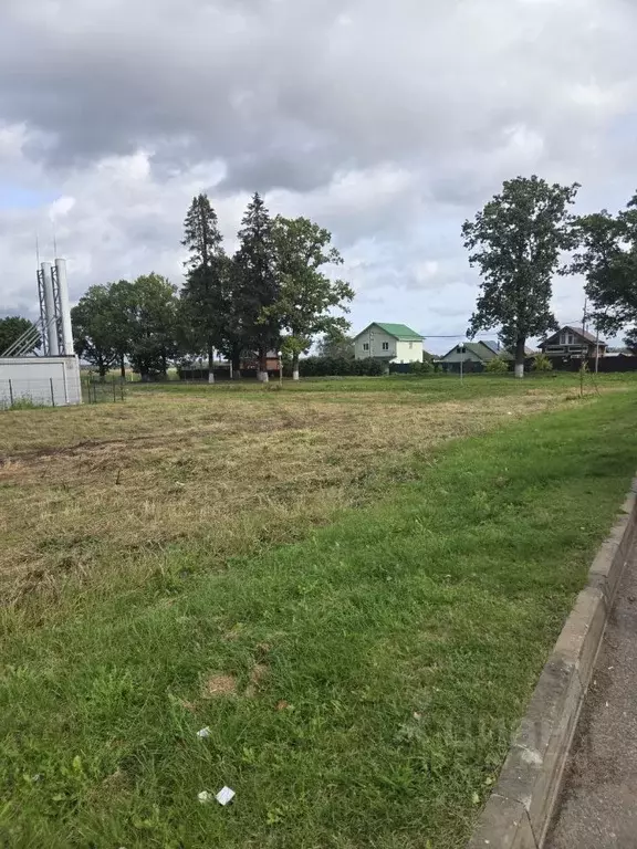 Участок в Ленинградская область, Лужский район, пос. Дзержинского  ... - Фото 2