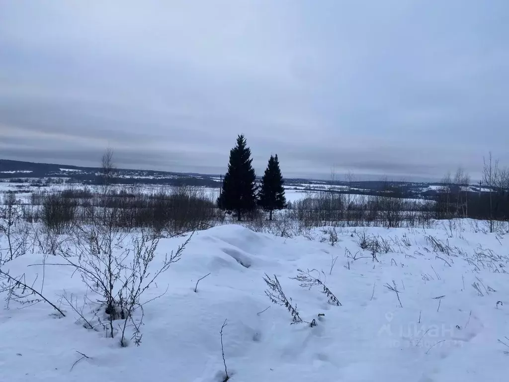 Участок в Московская область, Клин городской округ, д. Боблово  (22.43 ... - Фото 1