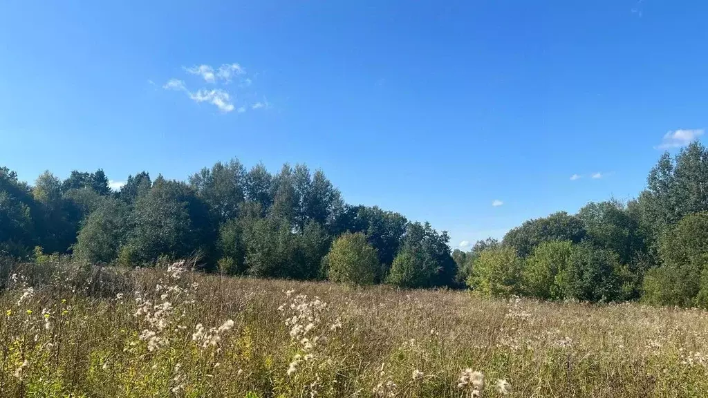 Участок в Московская область, Истра муниципальный округ, д. Бодрово  ... - Фото 0