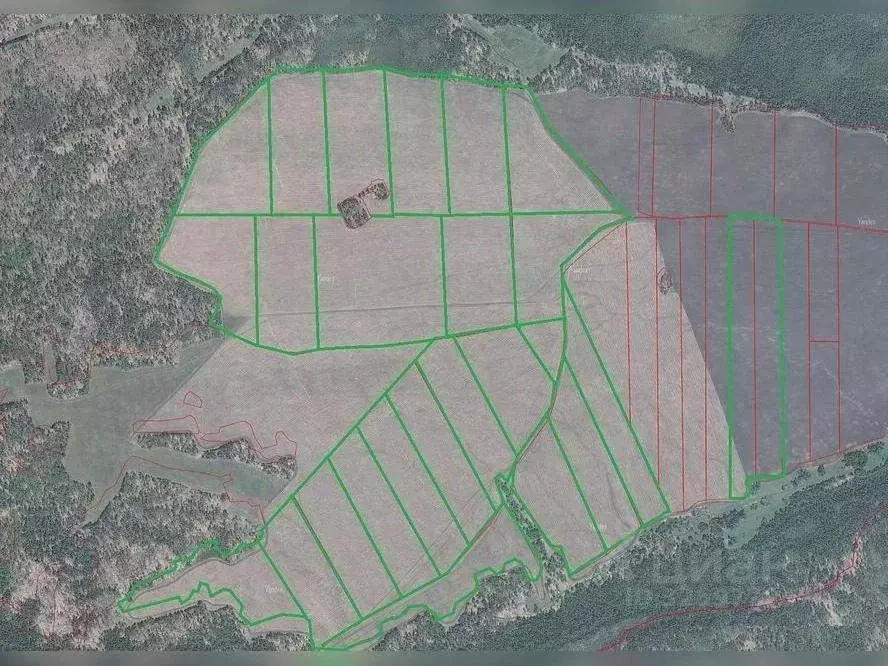 Участок в Красноярский край, Большемуртинско-Сухобузимский ... - Фото 1