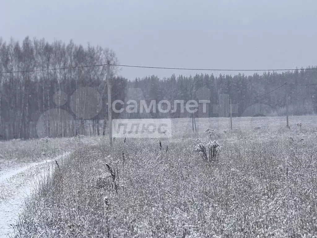Участок 100 сот. (ИЖС) - Фото 0