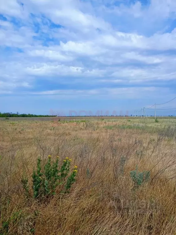 Участок в Ростовская область, Новочеркасск ул. Овечкина, 20 (6.0 сот.) - Фото 1