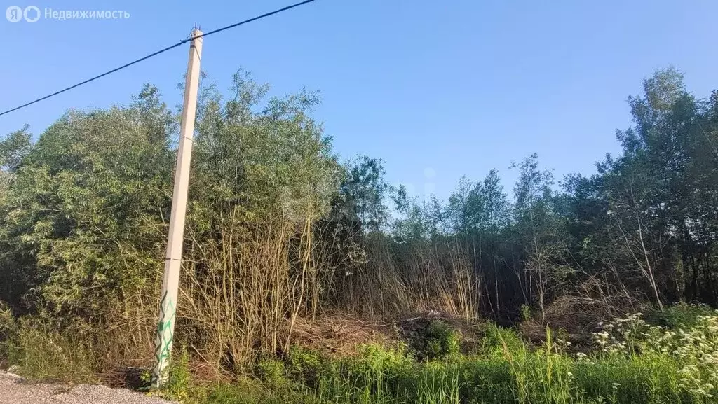 Участок в Череповец, Никольская улица (8 м) - Фото 1