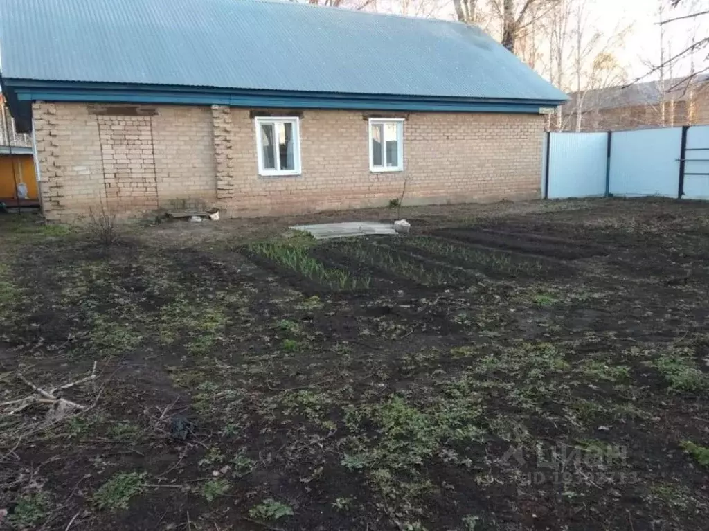 Погода федоровка саракташский район. Новосокулак. Новосокулак Оренбургская область. Село новый Сокулак Саракташский район. Старый Сокулак Саракташский район школа 2023.