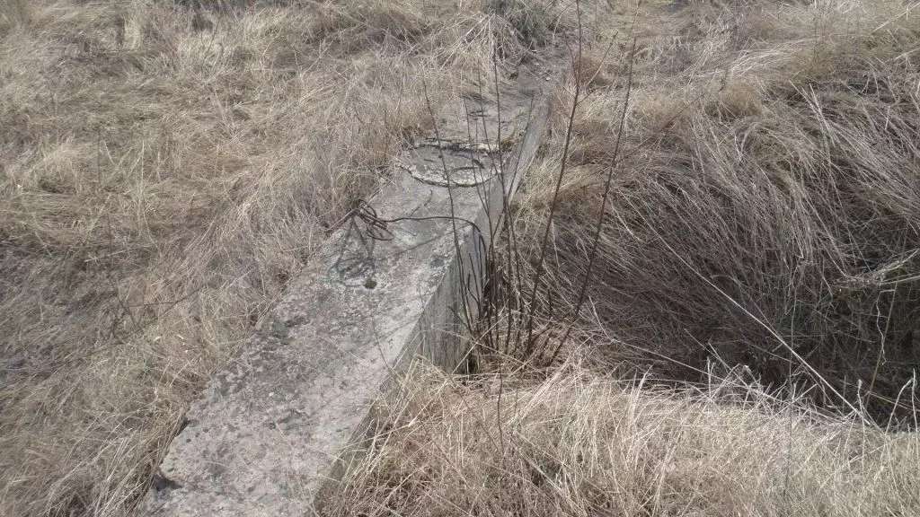 Участок в Орловская область, Орловский район, с. Альшань 71А (30.0 ... - Фото 1