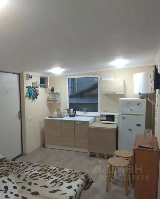 Дом в Краснодарский край, Сочи Центральный мкр, ул. Войкова, 28 (20 м) - Фото 2