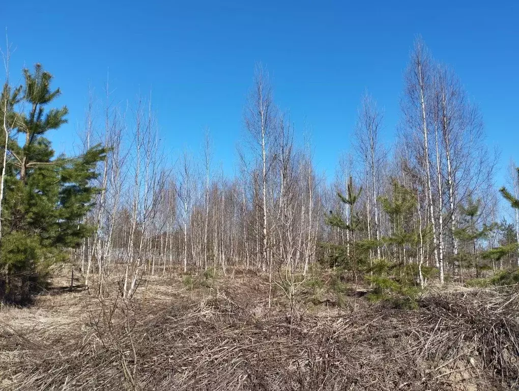 Участок в Нижегородская область, Нижний Новгород д. Кусаковка,  (9.0 ... - Фото 2