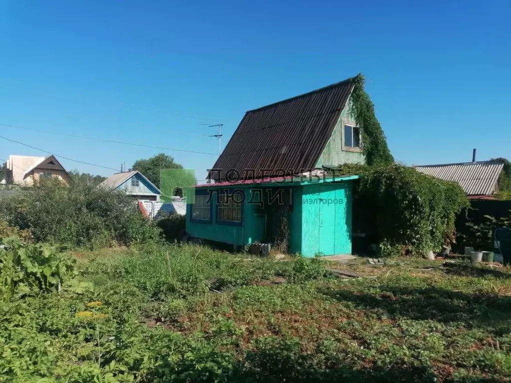 Дом в Курганская область, Кетовский муниципальный округ, Ясная ... - Фото 1