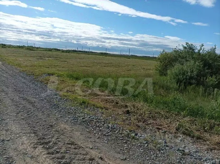 Участок в Тюменская область, Тюменский район, д. Марай  (10.0 сот.) - Фото 0