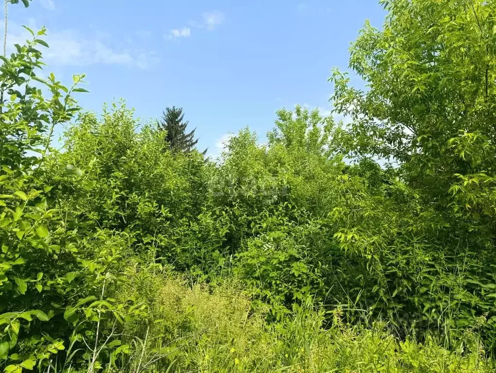 Участок в Башкортостан, Стерлитамакский район, Отрадовский сельсовет, ... - Фото 1