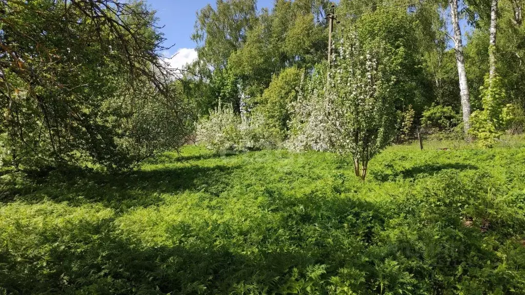 Дом в Калужская область, Бабынинский муниципальный округ, Утешево ... - Фото 1