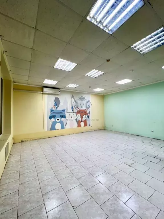 Помещение свободного назначения в Краснодарский край, Туапсинский ... - Фото 0