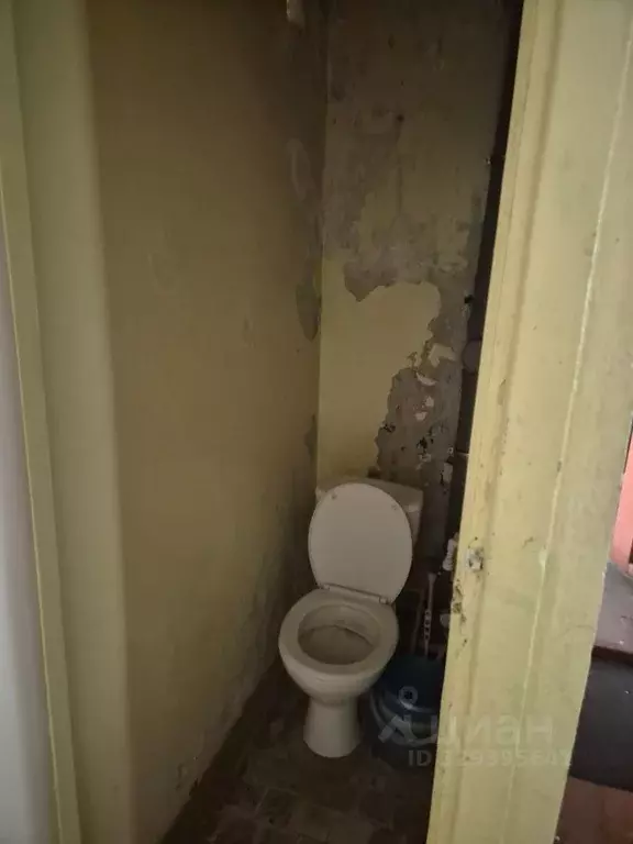 Помещение свободного назначения в Липецкая область, Липецк ул. ... - Фото 1