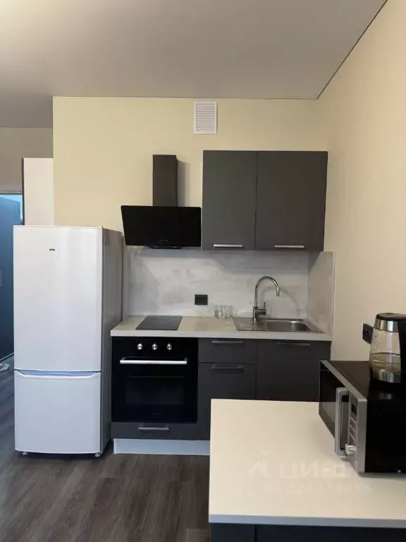 Студия Санкт-Петербург просп. Ветеранов, 210 (24.6 м) - Фото 2