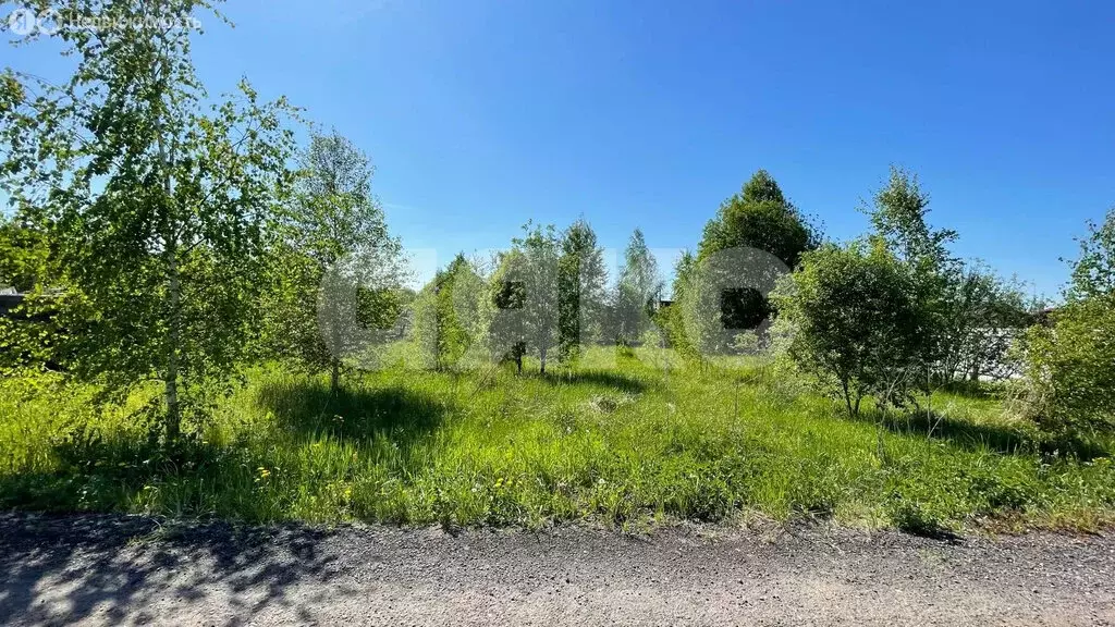 Участок в Московская область, Раменский муниципальный округ, КП ... - Фото 2