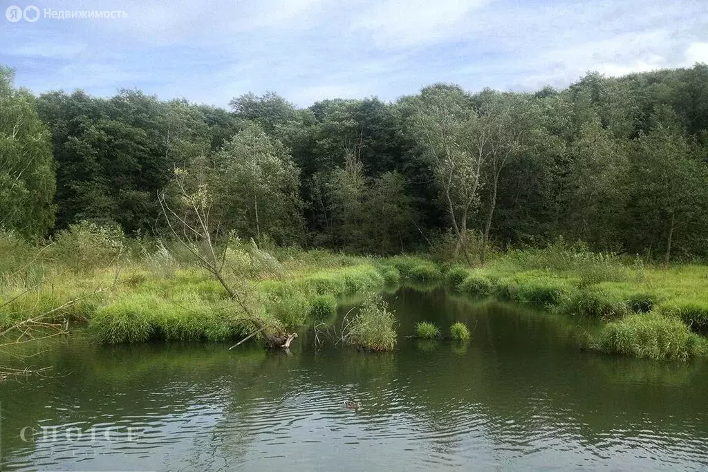 Участок в деревня Подушкино, территория Подушкино-Таун (34 м) - Фото 2