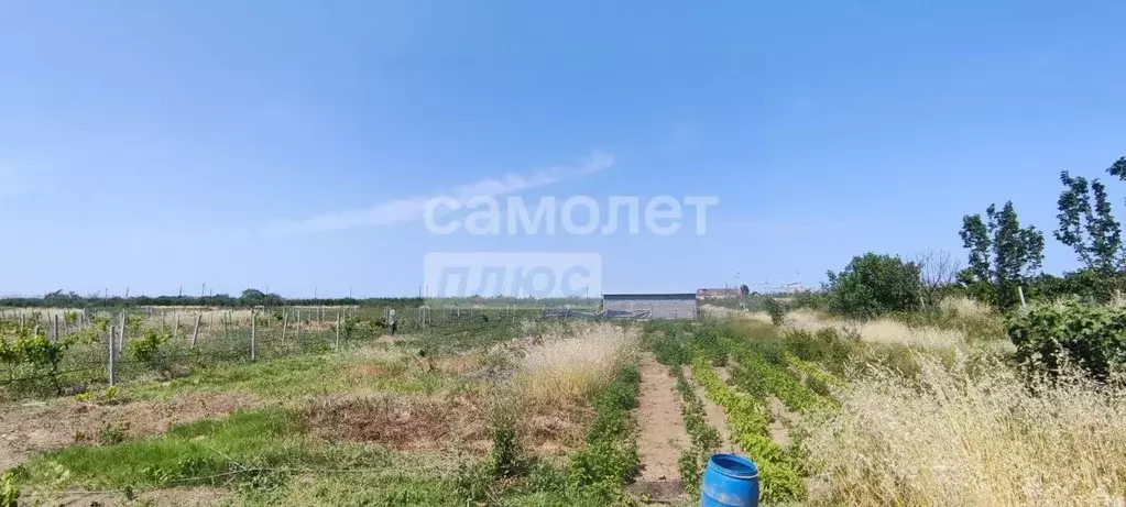 Участок в Дагестан, Дербентский район, с. Чинар  (150.0 сот.) - Фото 1