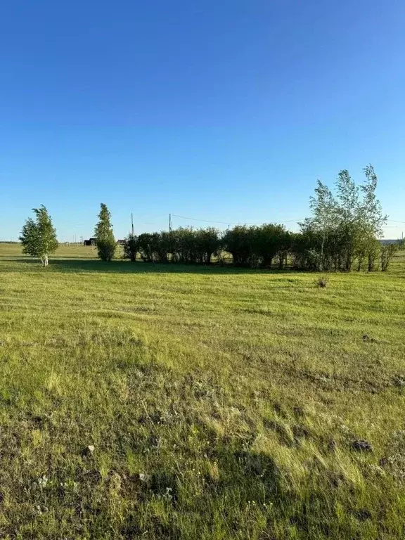 Участок в Саха (Якутия), Якутск городской округ, с. Тулагино  (10.0 ... - Фото 1