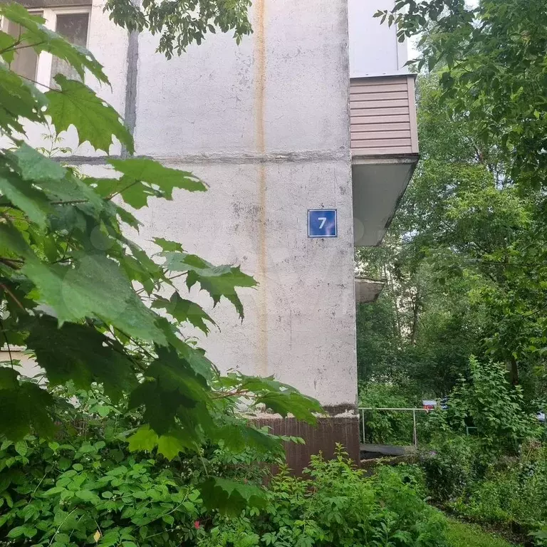 3-к. квартира, 56 м, 5/5 эт. - Фото 0