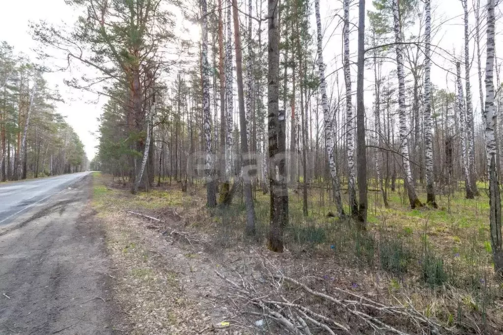 Участок в Тюменская область, Нижнетавдинский муниципальный округ, ... - Фото 1