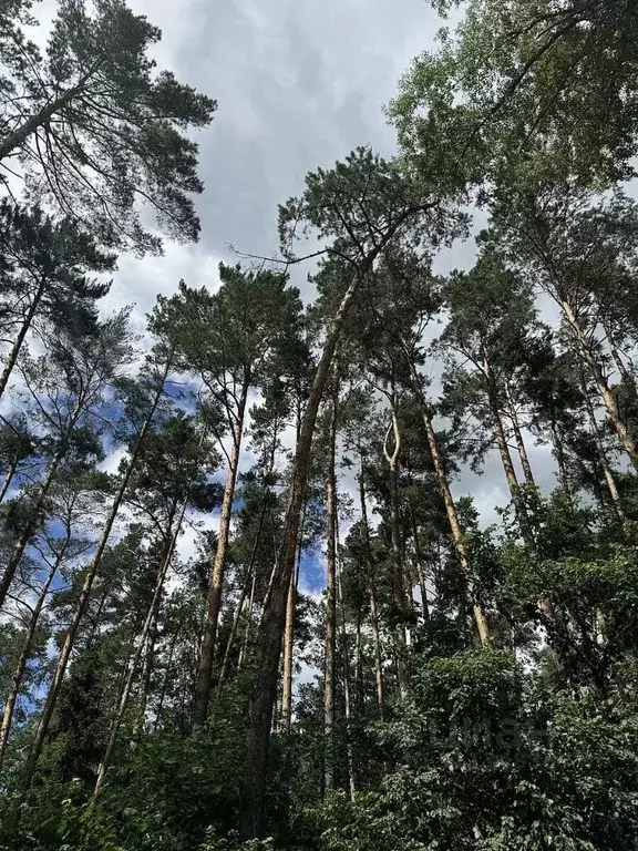 Участок в Московская область, Одинцовский городской округ, с. ... - Фото 1