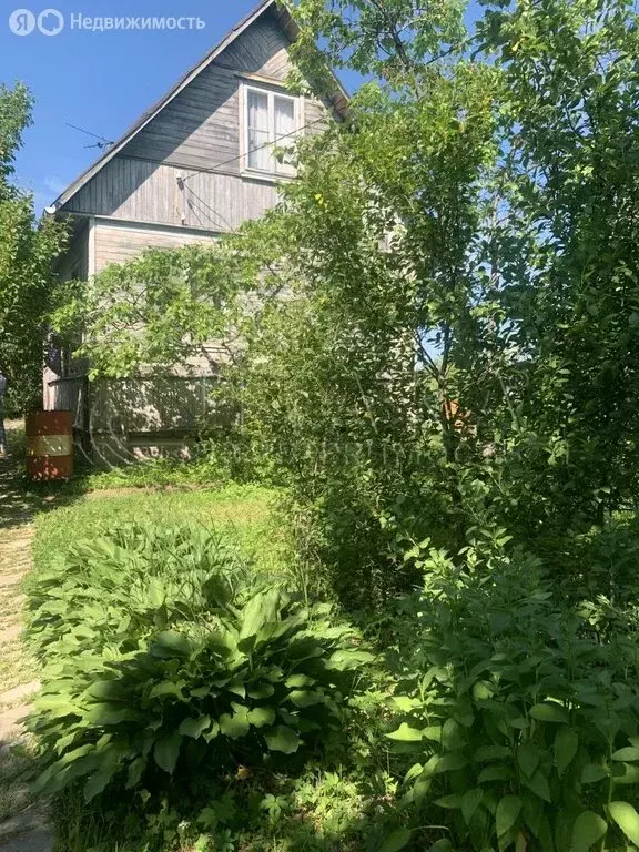 Дом в Лесколовское сельское поселение, СНТ Дружное-3, 559 (50 м) - Фото 1
