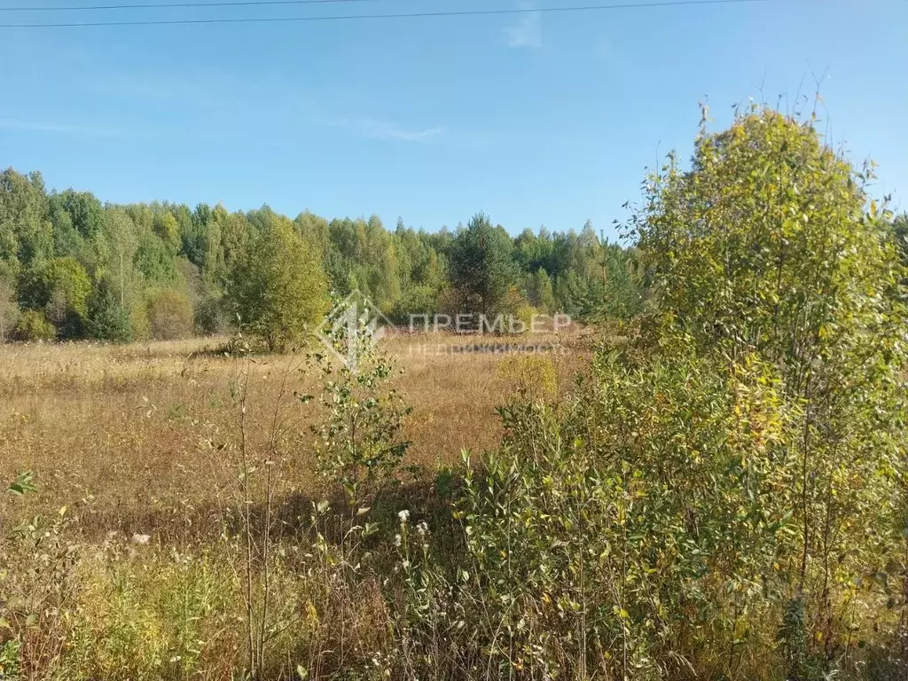 Участок в Кировская область, Кирово-Чепецкий район, Пасеговское с/пос, ... - Фото 1