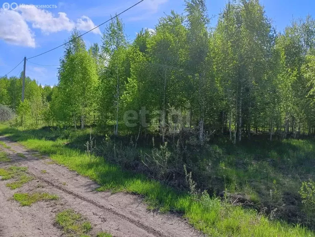 Участок в село Ленинское, СНТ Посёлок Новониколаевский, Лесная улица ... - Фото 1