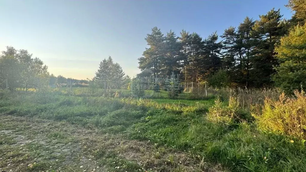 Участок в Владимирская область, Суздальский район, Новоалександровское ... - Фото 0