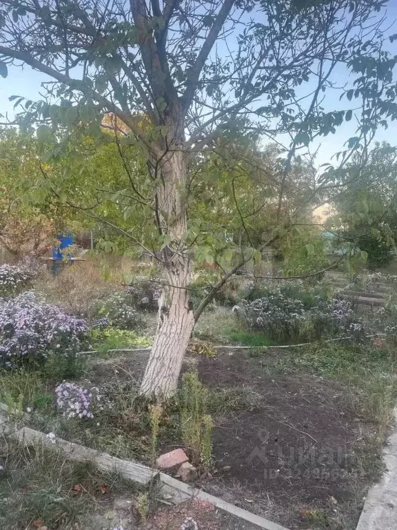 Участок в Ростовская область, Аксайский район, Истоминское с/пос, ... - Фото 1