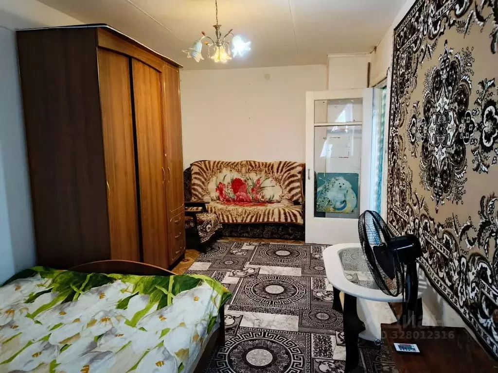 1-к кв. Челябинская область, Пласт ул. Строителей, 2 (28.9 м) - Фото 1