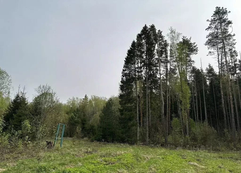 Участок в Московская область, Ступино городской округ, с. Ивановское ... - Фото 2