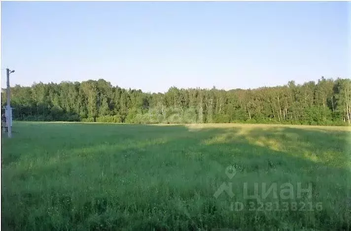 Дом в Калужская область, Тарусский муниципальный округ, Лопатино ... - Фото 1