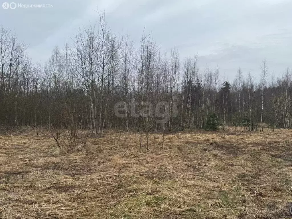 Участок в Московская область, Раменский муниципальный округ, деревня ... - Фото 2