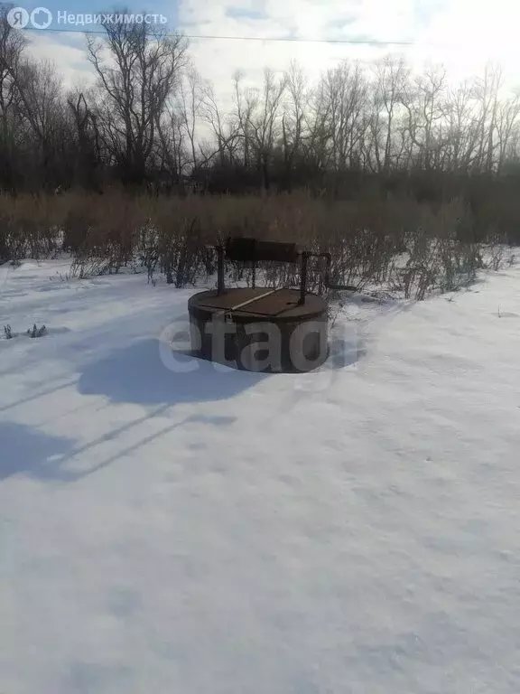 Дом в Самарская область, сельское поселение Красный Яр, деревня ... - Фото 1