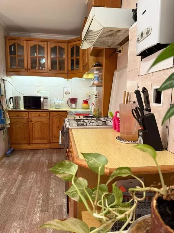 2-к кв. Новгородская область, Великий Новгород Район Торговая сторона, ... - Фото 1