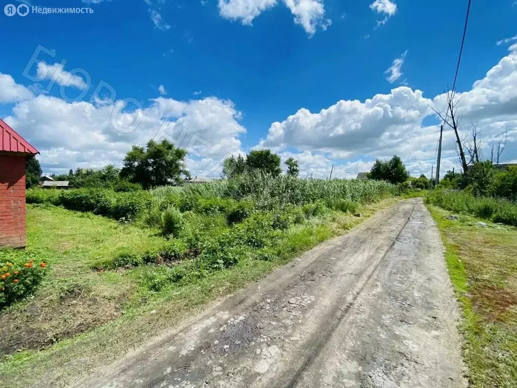 Участок в Балашов, Верхняя улица, 53 (9.3 м) - Фото 2