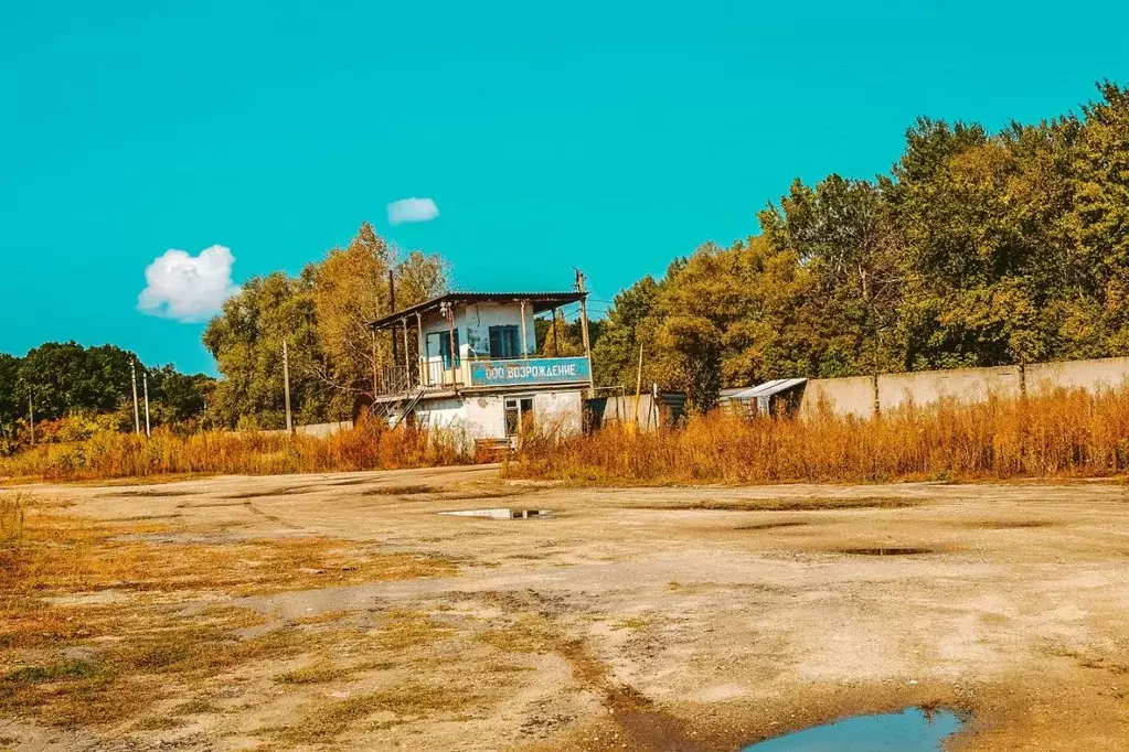 Склад в Саратовская область, Лысогорское муниципальное образование, . - Фото 0
