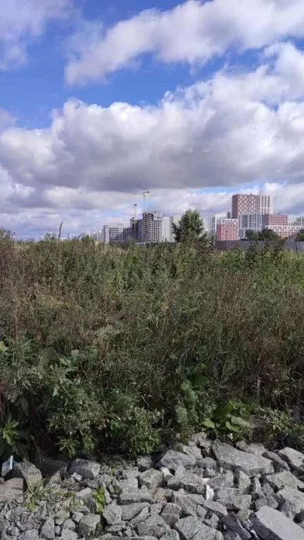 Склад в Свердловская область, Екатеринбург ул. Архитектора Белянкина, ... - Фото 1