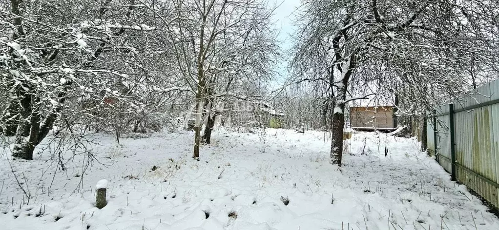 Участок в Московская область, Истра городской округ, Антоновка-ВНИИА ... - Фото 0