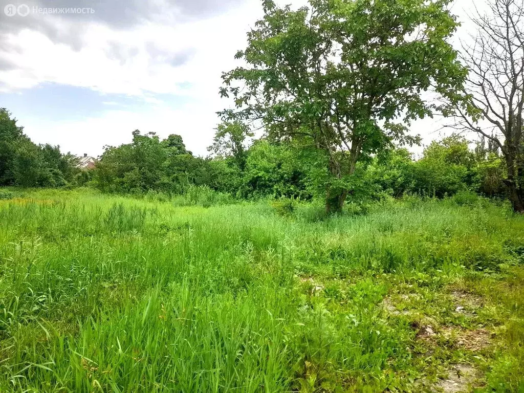 Участок в село Львовское, улица Дзержинского (22 м) - Фото 1