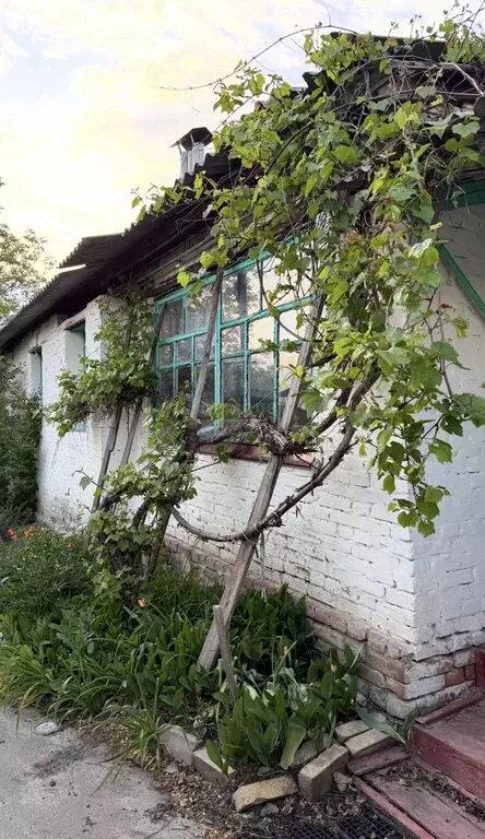 2-комнатная квартира: Павловск, Набережная улица, 4 (59.6 м) - Фото 2