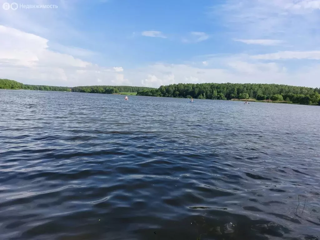 Участок в Москва, ТАО, район Вороново, деревня Свитино (18 м) - Фото 1