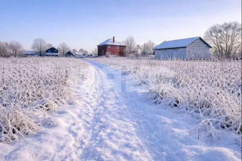 Участок в Московская область, Раменский муниципальный округ, Усадьба ... - Фото 1