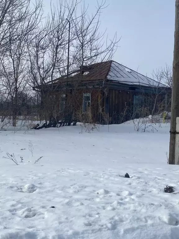 Дом в Алтайский край, Ребрихинский район, с. Подстепное пер. Доронина, ... - Фото 1