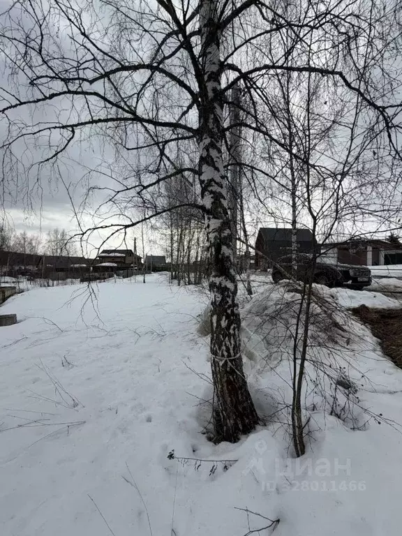 Участок в Московская область, Солнечногорск ул. Малиновая (30.0 сот.) - Фото 1